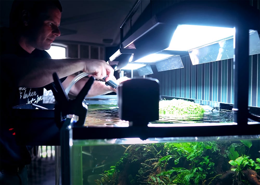 Image result for Why is the water in my aquarium cloudy? Causes and solutions | Green Aqua